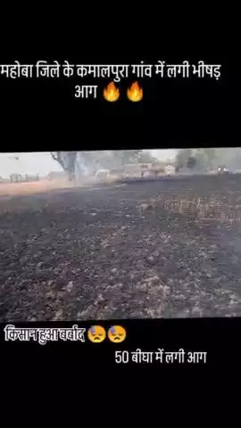 महोबा जिले के कमालपुरा गांव में लगी भीषण आग से किसान हुआ बर्बाद किसान की 50 बीघा की फसल हुई बर्बाद