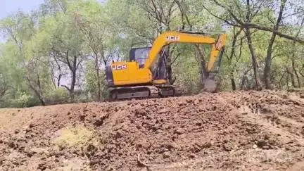 पेण: कणे, भाल खारबंदिस्तीला खांडी जाऊन भातशेतीत समुद्राचे खारे पाणी शिरल्याने नुकसान, नुकसान भरपाई देण्याची मागणी #Jansamasya