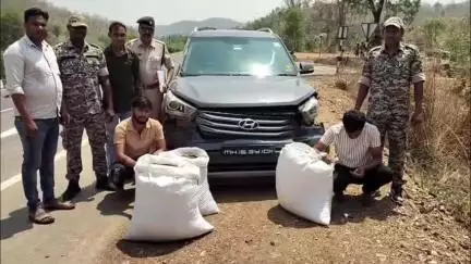 सरायपाली: सिंघोड़ा पुलिस ने 01 लग्जरी कार में 60 किलो अवैध गांजा की तस्करी करते 02 अन्तर्राज्जीय तस्करों को पकड़ा
