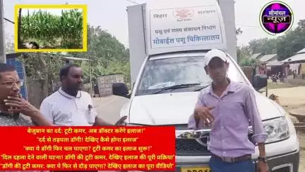 कुत्ता का इलाज करने पहुंचे Ambulance बेजुबान का दर्द: टूटी कमर,अब डॉक्टर करेंगे इलाज |दर्द से तड़पता डॉगी! देखिए कैसे हो