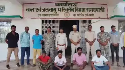 सरायपाली: सरायपाली के पोटापार में जंगली सूअर का शिकार करने वाले चार लोगों को वन विभाग की टीम ने किया गिरफ्तार