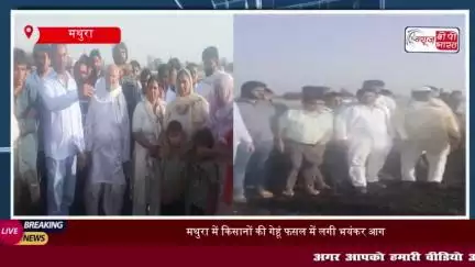 मथुरा के छाता तहसील में आग से 200 बीघा गेहूं की फसल जलकर राख, कांग्रेस जिला अध्यक्ष ने मुआवजे की मांग की
#मथुरा #छाता