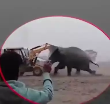 बेज़ुबान भी लड़ने लगे तानाशाही के खिलाप …

Akhilesh Yadav 
Dimple Yadav 
Samajwadi Party 
#samajwadipartyofficial
