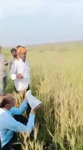 yah log hai ji garibon ka Gala ghotane wale 
-(patrakaar Ajay Kaushik)
-( patwari nawabuddin)
-(advocate Deepak Kaushik)