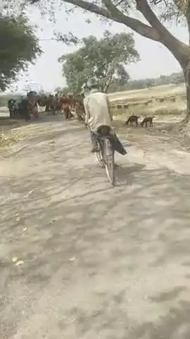 तुरकौलिया थाना क्षेत्र के खगनी गांव के पास ट्रैक्टर पलटा
