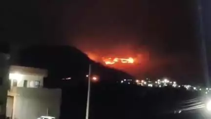 वडवणी: वडवणी येथील डोंगराला भीषण आग लागल्याची घटना घडली, वनस्पती जीवजंतू जळून नष्ट झाले