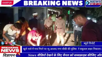 खुले नाले में गाय गिरने पर न्यू आजाद नगर चौकी की पुलिस व गौ रक्षकों ने सकुशल बाहर निकाला। #breaking #trending #latest