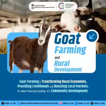 Goat Farming and Rural Development
Goat farming boosts rural economies by providing livelihoods and supporting local markets. 
#GoatFarming #AnimalHusbandry #RuralDevelopment