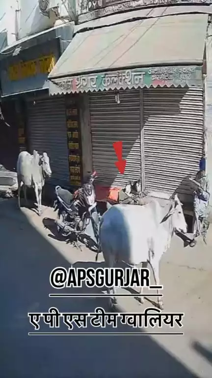इन लोगों ने जो किया वह अच्छा है। ऐसे लोगों के साथ क्या किया जाना चाहिए? Respect Girls help poor help animals #apsgurjar #dogslife #support