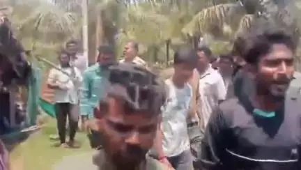 ಹುಣಸೂರು: ಹೈರಿಗೆ ಗ್ರಾಮದ ತೋಟದಲ್ಲಿ ಹುಲಿ ಪ್ರತ್ಯಕ್ಷ, ಅರಣ್ಯ ಸಿಬ್ಬಂದಿ ದೌಡು