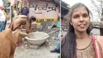 गर्मी में गाय माता प्यासी ना रहे इसका प्रबंध करवाया गौ सेवक के रूप में प्रख्यात कुसुम साहू ने जिसका लोग तारीफ कर रहे।