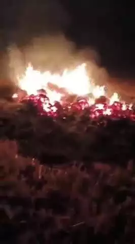 रामपुर महेश में किसान के गेहूं के 200 बोझे में लगी आग,हजारों की क्षति