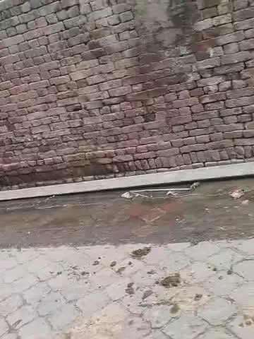 vilage sherpur luhara ye khamba 6manth sai lagne ke liye padda hai