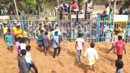 ஆலங்குடி: குளவாய்பட்டி ஜல்லிக்கட்டு போட்டியில் அடிதடி பரபரப்பு ஏற்பட்டதால் ஜல்லிக்கட்டு போட்டி நிறுத்தப்பட்டு மீண்டும் துவங்கியது