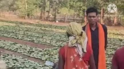 दुर्गुकोंदल: लोहत्तर समिति में तेंदूपत्ता संग्रहण कार्य हुआ प्रारंभ, लोगों में खुशी का माहौल