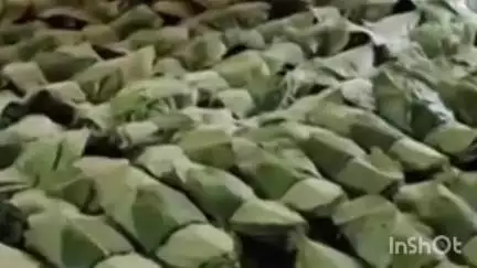 सिंदेवाही: डोंगरगाव बीटातील चारगाव बडगे जंगल परिसरात वाघाच्या हल्ल्यात तेंडू पत्ता तोडण्यासाठी गेलेली महिला गंभीर जखमी