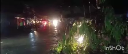 গৰৈমাৰী: সোণতলীত প্ৰচণ্ড ধুমুহা বৰষুণ,ধুমুহাৰ ফলত উভালি পৰিল প্ৰকাণ্ড প্ৰকাণ্ড গছ,নিমিষতে লাগিল হাহাকাৰ