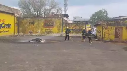 इगतपुरी: इगतपुरी शहरात मुसळधार पावसामुळे बुद्ध विहार जवळ झाड कोसळले सुदैवाने जीवित हानी झाली नाही मात्र वाहतूक विसरली