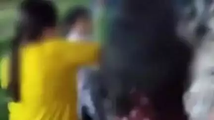 सतनाली: सतनाली में प्लाट से घर लौट रही महिला से मारपीट, छुड़वाने गई बेटी को भी पीटा, पशुओं के पास कूड़ा डालने को लेकर हुआ विवाद
