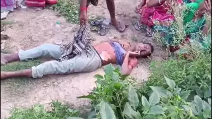 চাপড়া: এক ব্যক্তির মৃতদেহ উদ্ধার ঘিরে চাঞ্চল্য দৈয়েরবাজার পারুলপাড়ায়