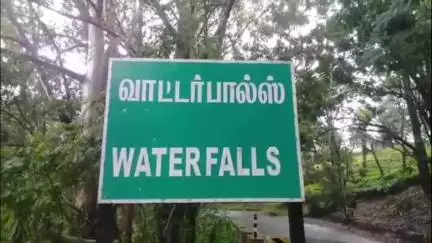 வால்பாறை: வாட்டர் பால்ஸ் தொழிலாளர் அலுவலகத்தை இடித்து தள்ளிய காட்டு யானை கூட்டம்.