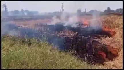 హుజూరాబాద్: జూపాక గ్రామ శివారులో ప్రమాదవశాత్తు అగ్నిప్రమాదం, జనావాసాల్లోకి వస్తున్న మంటలను ఆపిన గ్రామస్తులు, ఫైర్ సిబ్బంది