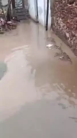 रावतभाटा तहसील के ग्राम पंचायत झरझनी में वार्ड नंबर 03 मेघवाल मोहल्ला पुरा जल मग्न हे पुरा गांव का पानी आके इक्टा होजाता