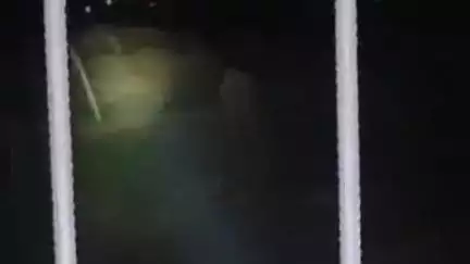दुलमी: चक्रवाली गांव के पास जंगली हाथी पहुंचा, लोगों ने वन विभाग को सूचना देकर भगाने की अपील की