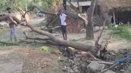 मुसाफिरखाना: जगदीशपुर क्षेत्र के मऊ अतवारा गांव में तूफानी हवाओं ने मचाया कहर, तूफान की चपेट में आने से एक बुजुर्ग महिला की हुई मौत