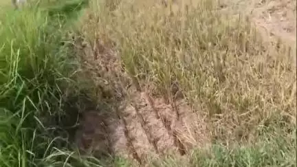 আউশগ্রাম ২: আউশগ্রামের ভাতকুণ্ডা এলাকায় প্রায় 12টি সাবমার্সিবল পাম্প চুরি, তদন্তে পুলিশ