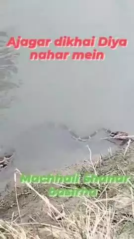 ajgar nahar mein dikha logon mein machi hardam