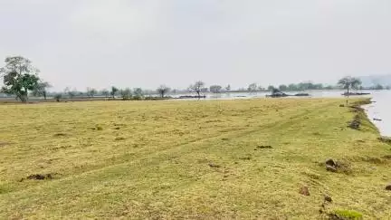 गांधी सागर डेम खुलने से खेतों में खरबूजे की फसल डूबने से लोगो को लाखो का नुकसान हुआ है