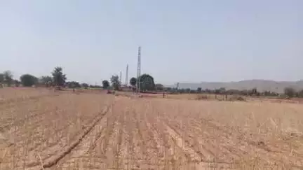 33000 की लाइट के खंबे सीधे रास्ते में ना गाड़कर अपनी मनमर्जी से गाड़े ख़ंभे ठेकेदार ने किसानो के 1 बीघा में 3 खंबे,