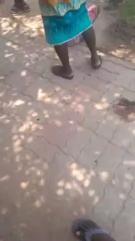 ग्राम ठाढी ढडवा पंचायत  का पेनचती नही हुआ  है