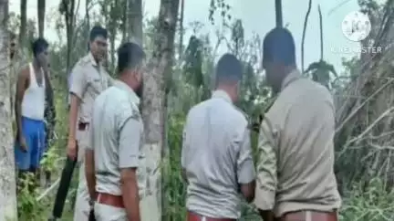 बुंडू: बुंडू जंगल में बाघ होने की सूचना पर वन विभाग की टीम पहुंची