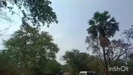 चंदवारा: चंदवारा में हाईवे की चपेट में आने से पत्नी की मौत, पति गंभीर रूप से घायल