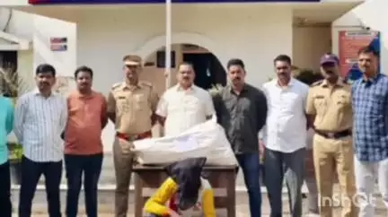 खानापूर विटा: खानापूर तालुक्यातील नागेवाडी येथे चक्क गांजाची शेती करणाऱ्या एकाला पोलिसांकडून अटक 10 किलो गांजा जप्त