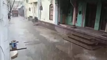 तळोदा: नंदुरबार जिल्ह्यातील तळोदा शहरासह तालुक्यात जोरदार पावसाच्या हजेरी पिकांचं मोठं नुकसान