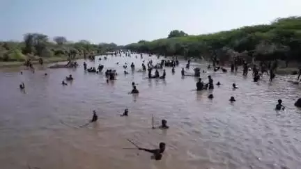 சிங்கம்புனரி: கருப்பூர் கருப்பு கண்மாயில் கோலகாலமாக நடந்த மீன்பிடித் திருவிழா