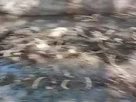 giram Nibhana jalon maheva Block