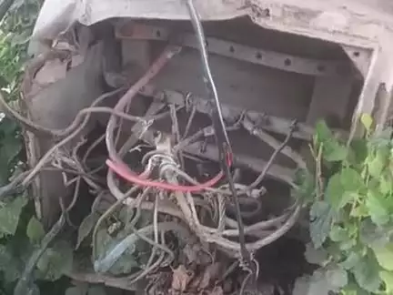 bijli balo ki laparbahi