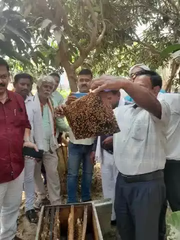 मधुमक्खी पालन प्रशिक्षण कार्यक्रम का जीवंत प्रदर्शन#bameti.bihar#krishibihar
