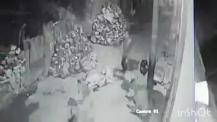 कुंवरिया: कुंवारिया में अज्ञात चोर ने एक घर के बाहर खड़ी बाइक से चोरी किया पेट्रोल, सीसीटीवी में कैद हुई वारदात