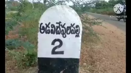 అడవిదేవులపల్లి: అడవిదేవులపల్లి మండలం మొలకచర్ల లోని అర్థరాత్రి దున్నపోతు బలిచి క్షుద్ర పూజలు