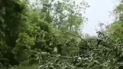 আকাশীগঙ্গা আৰু ডবকা সংযোগী ২৯নং ৰাষ্ট্ৰীয় ঘাইপথত প্ৰকাণ্ড গছ বাগৰি পৰে, ফলত বহু বাহন আবদ্ধ হৈ পৰে ঘাইপথৰ ওপৰত