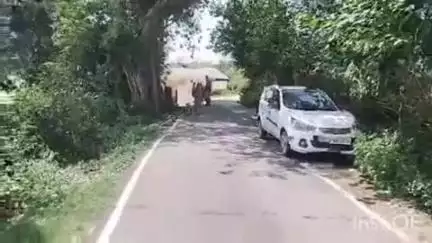 हरिपुर: पुलिस चौकी रानीताल के अंतर्गत बालू गुलोआ के खेतों में मिली संदिग्ध वस्तु, पुलिस ने मौके पर पहुंचकर कब्जे में ली