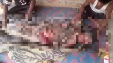 চাৰিদুৱাৰ: ভেলুৱেটাৰ পাগলাবিলত বনৰীয়া হাতীৰ গচকত আজি এগৰাকী লোককৰ কৰুণ মৃত্যু হয়