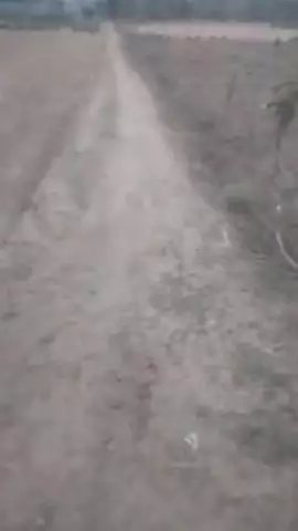 ye jay rampurwa ke jungle Jane ka rasta ka hai bhai dhekh lo bhai