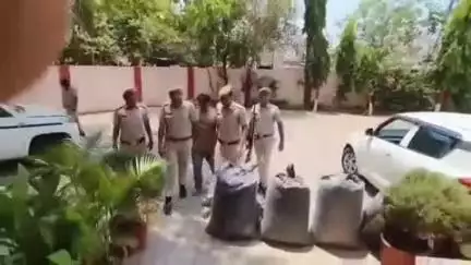 छोटीसादड़ी: बरकटी गांव के पास 81 किलो 440 ग्राम डोडा-चूरा के साथ एक तस्कर किया गया गिरफ्तार
