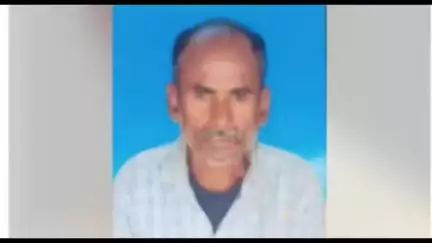 कोरची: कैमूल येथे सर्पदंशाने तेंदूपत्ता तोडणाऱ्या मूकबधीर मजुराचा मृत्यू